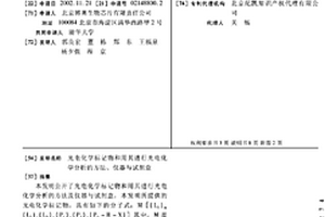 光电化学标记物和用其进行光电化学分析的方法、仪器与试剂盒