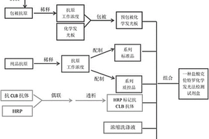 盐酸克伦特罗化学发光法定量测定试剂盒