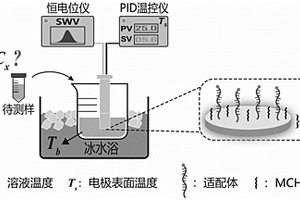 电化学适配体传感器的免校正定量测量方法