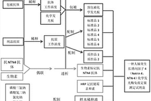NTN-4化学发光酶免疫定量测定试剂盒及应用