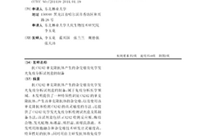 抗CA242单克隆抗体产生的杂交瘤及化学发光免疫分析试剂盒的制备