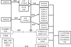 人可溶性细胞间黏附分子-1化学发光酶免疫定量测定试剂盒及制备方法