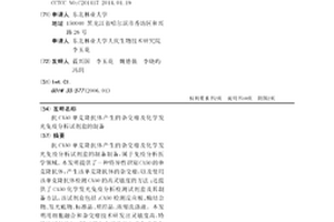 抗CA50单克隆抗体产生的杂交瘤及化学发光免疫分析试剂盒的制备