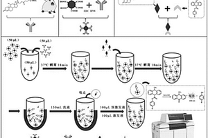 基于磁微粒氢化可的松化学发光免疫分析方法及试剂盒