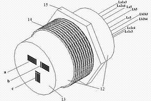 电偶电化学噪声腐蚀监测探针