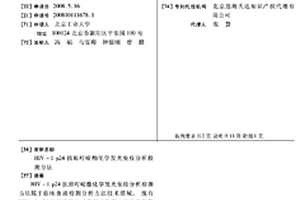 HIV-1 P24抗原吖啶酯化学发光免疫分析检测方法