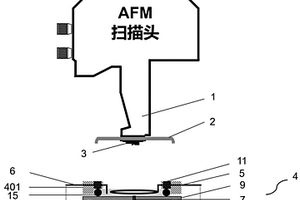 原子力显微镜观察柱状锂电极的电化学测试装置及方法