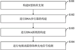 RNA中m5C和m6A双重分析逻辑光电化学传感方法