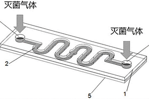 用于监测管腔类器械灭菌效果的化学指示卡