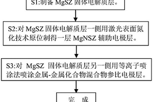 用于测定氮含量的电化学传感器及其制备方法