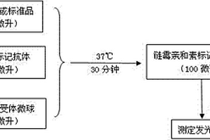 前列腺特异抗原均相发光免疫分析检测试剂盒及其检测方法
