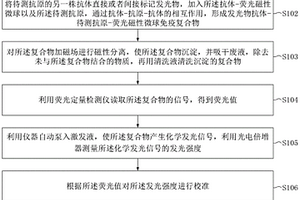 基于荧光染料作为内标物的化学发光免疫分析法及其应用