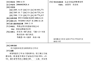 用于遗传和化学分析的单分子阵列