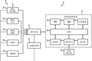 在使用终止化学物质的测序中建立分阶段效应模型的方法和系统