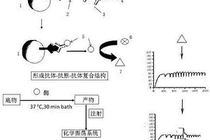 高灵敏度酶联免疫吸附分析方法