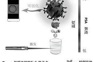 基于光热及免疫功能化脂质体构建的便携式热成像免疫分析方法