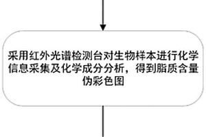 基于红外光谱成像技术的法医学肺脂肪栓塞分析方法