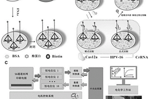 核酸分析方法及应用