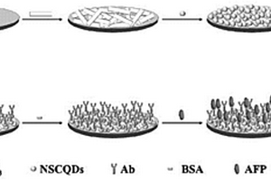 基于NSCQDs/Bi<sub>2</sub>S<sub>3</sub>的光电化学传感器及其制备与应用