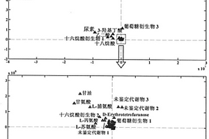 色谱-质谱代谢组学数据分析的新方法