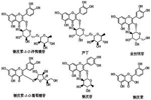 基于MRM-IDA-EPI模式同时定性定量分析酸枣叶总黄酮中6种成分的方法