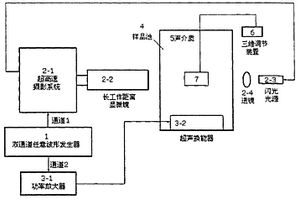 基于超高速摄影技术的超声场中微泡行为分析系统和方法