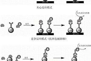 基于碳纳米材料的免疫分析方法