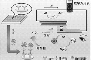 基于铝-普鲁士蓝自供能电化学传感器构建的免疫分析方法