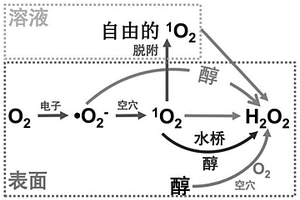 光催化生产过氧化氢反应机理的分析方法