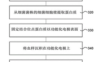 感染分析装置和方法