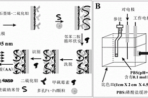 甲砜霉素分子印迹电化学传感器及其制备方法与应用