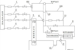 实现化学吸附量和化学吸附电信号同时定量表征的装置、方法