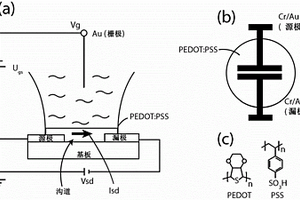 作为化学传感器的基于导电聚合物和Ag、AgX(X＝Cl、I、Br)卤化物纳米颗粒的有机电化学晶体管