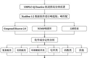 快速识别驴胶补血颗粒中化学成分的方法