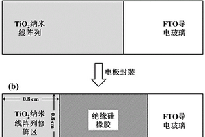 基于硫化镉纳米颗粒/二氧化钛纳米线阵列复合材料的光电化学传感器的制备及其应用