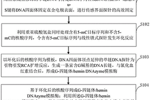 基于DNA功能化纳米材料的电化学传感器及构建方法