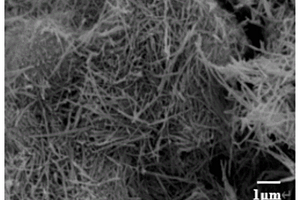 基于MnO<Sub>2</Sub>纳米棒检测木制品中五氯苯酚的方法