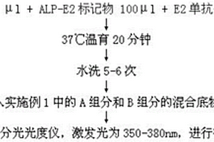 双波长酶免疫化学发光底物及其应用