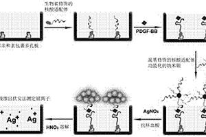 基于纳米银催化银沉积的电化学核酸适配体传感器
