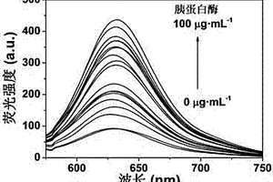 无标记荧光检测胰蛋白酶的超分子组装体及其制备方法