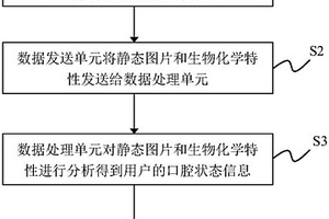口腔检测装置及口腔检测方法