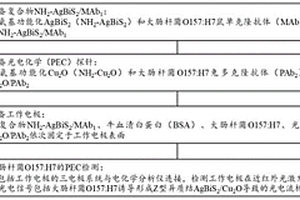 近红外光电化学传感平台的构建方法和应用