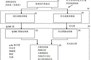 光子结构和化学计量学病理系统