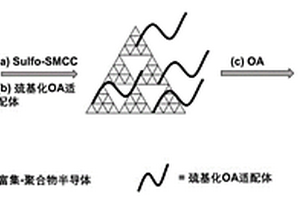 基于功能化碳氮聚合物的电化学生物传感器及制备方法和应用