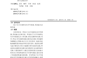 基于分子印迹的电化学传感器、其制备方法和用途