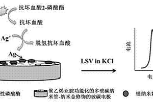 用于检测碱性磷酸酶的修饰电极及制备方法与检测方法