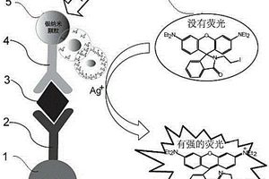 基于金属离子特异响应的荧光检测法在免疫检测中的应用