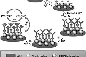 基于石墨烯包裹聚苯乙烯复合纳米球的无标记电化学免疫传感器的制备方法