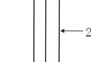石墨烯-淀粉电化学传感器、其制备方法及应用