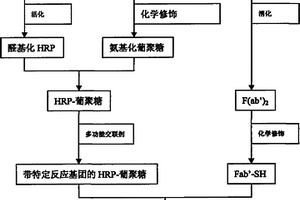 免疫层析检测装置及其检测方法